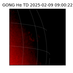 gong - 2025-02-09T09:00:22