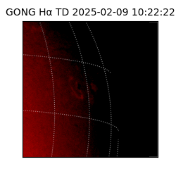 gong - 2025-02-09T10:22:22