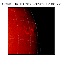 gong - 2025-02-09T12:00:22