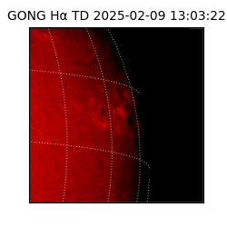 gong - 2025-02-09T13:03:22