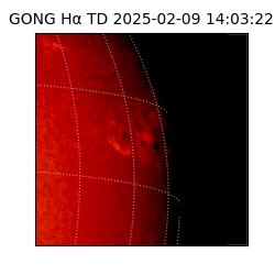 gong - 2025-02-09T14:03:22