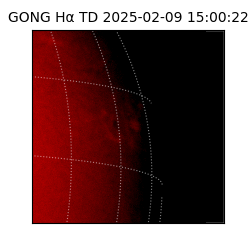 gong - 2025-02-09T15:00:22