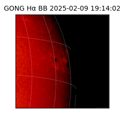 gong - 2025-02-09T19:14:02