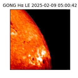 gong - 2025-02-09T05:00:42