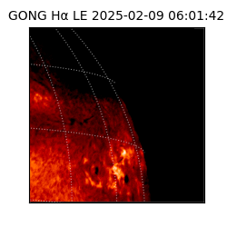 gong - 2025-02-09T06:01:42
