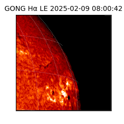 gong - 2025-02-09T08:00:42