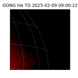 gong - 2025-02-09T09:00:22