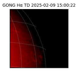 gong - 2025-02-09T15:00:22