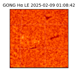 gong - 2025-02-09T01:08:42