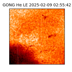 gong - 2025-02-09T02:55:42