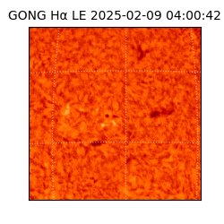 gong - 2025-02-09T04:00:42