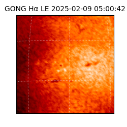 gong - 2025-02-09T05:00:42