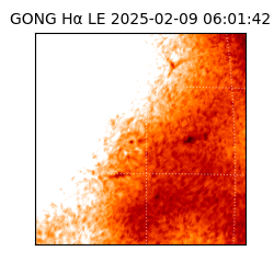gong - 2025-02-09T06:01:42