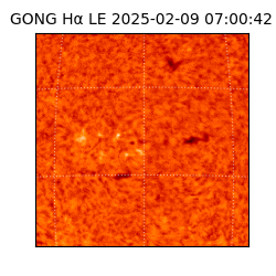 gong - 2025-02-09T07:00:42