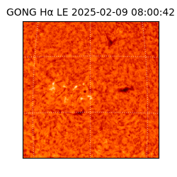 gong - 2025-02-09T08:00:42