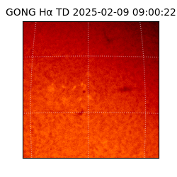 gong - 2025-02-09T09:00:22