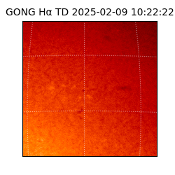 gong - 2025-02-09T10:22:22