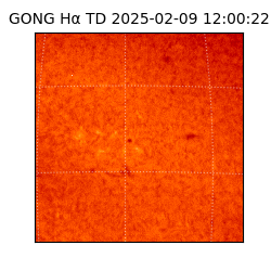 gong - 2025-02-09T12:00:22