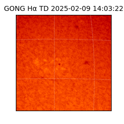 gong - 2025-02-09T14:03:22