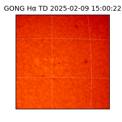 gong - 2025-02-09T15:00:22