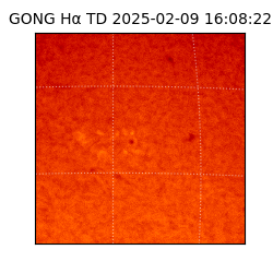 gong - 2025-02-09T16:08:22
