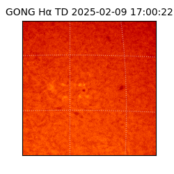 gong - 2025-02-09T17:00:22