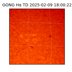 gong - 2025-02-09T18:00:22
