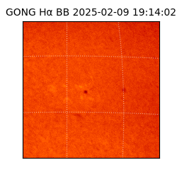 gong - 2025-02-09T19:14:02