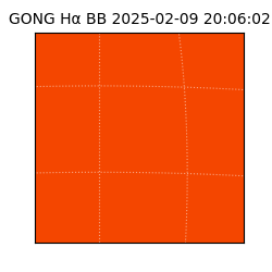 gong - 2025-02-09T20:06:02