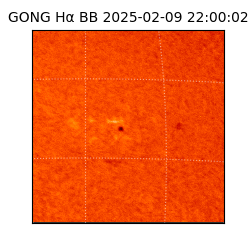 gong - 2025-02-09T22:00:02