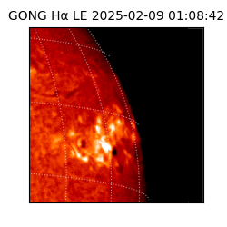 gong - 2025-02-09T01:08:42