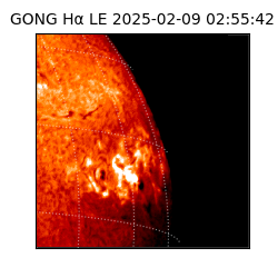 gong - 2025-02-09T02:55:42