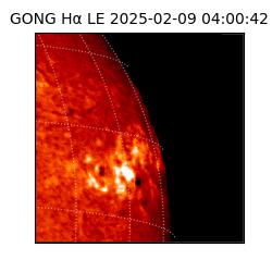 gong - 2025-02-09T04:00:42