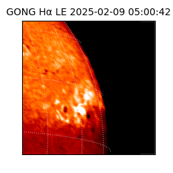gong - 2025-02-09T05:00:42