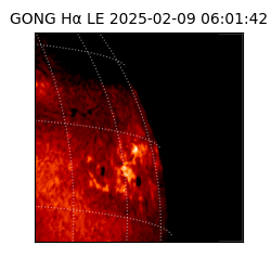 gong - 2025-02-09T06:01:42