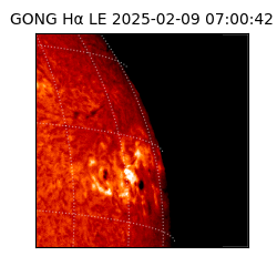 gong - 2025-02-09T07:00:42