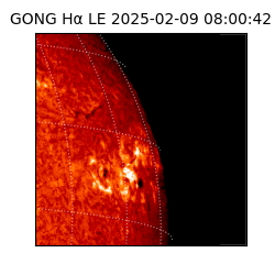 gong - 2025-02-09T08:00:42