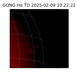 gong - 2025-02-09T10:22:22
