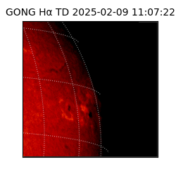 gong - 2025-02-09T11:07:22