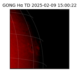 gong - 2025-02-09T15:00:22