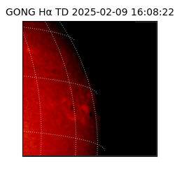gong - 2025-02-09T16:08:22