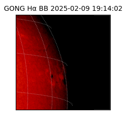 gong - 2025-02-09T19:14:02