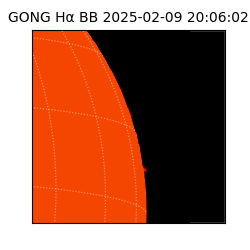 gong - 2025-02-09T20:06:02