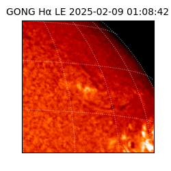 gong - 2025-02-09T01:08:42