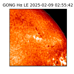 gong - 2025-02-09T02:55:42