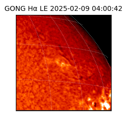 gong - 2025-02-09T04:00:42