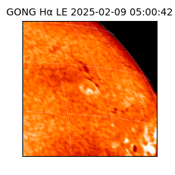 gong - 2025-02-09T05:00:42
