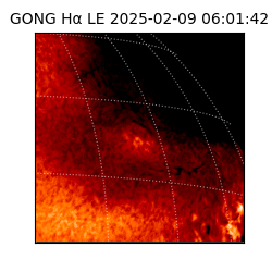 gong - 2025-02-09T06:01:42