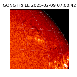 gong - 2025-02-09T07:00:42