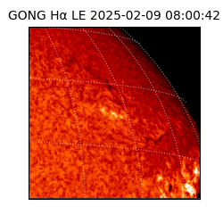 gong - 2025-02-09T08:00:42
